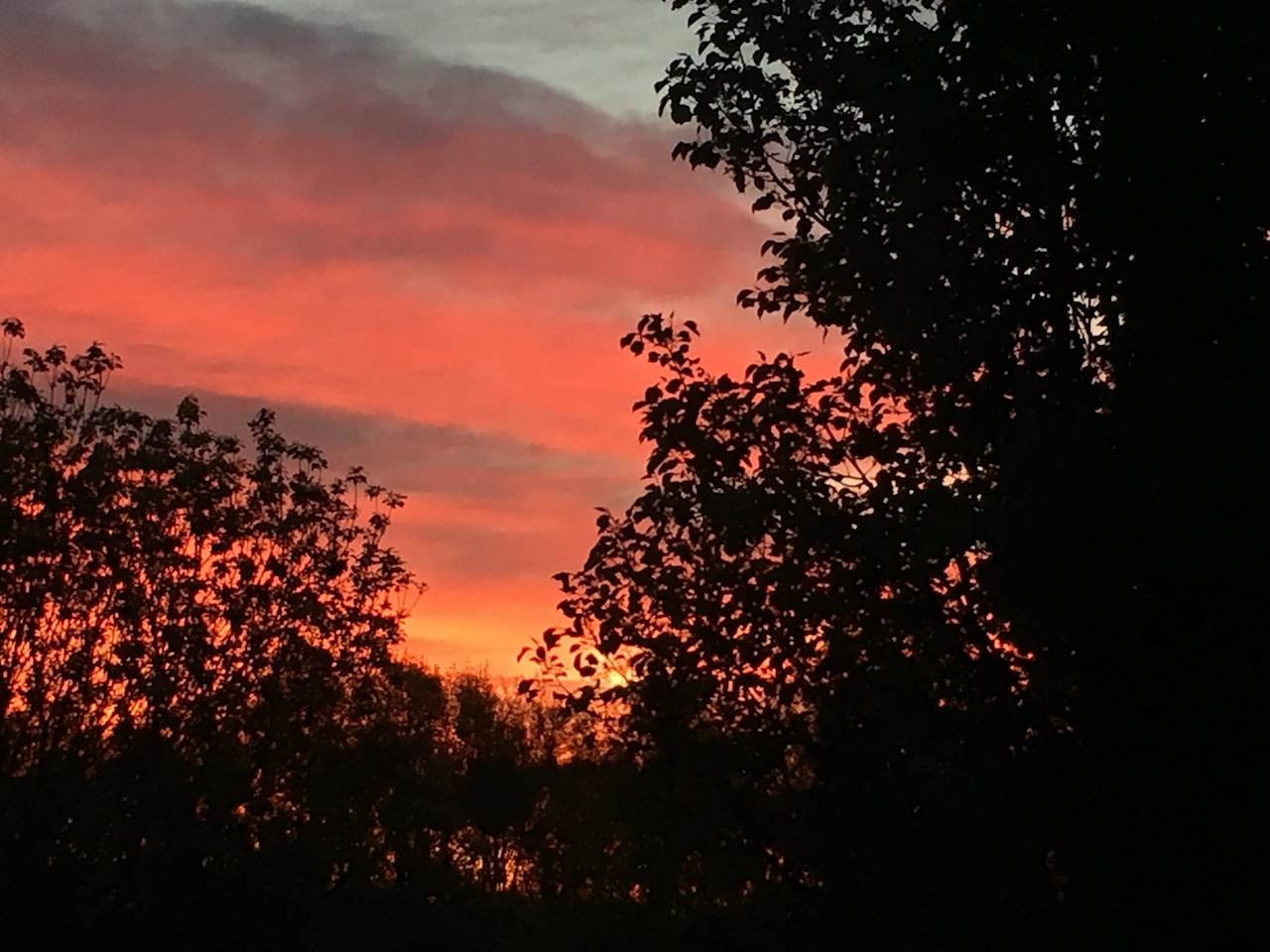 Gorgeous colors of the sunset over the fields.