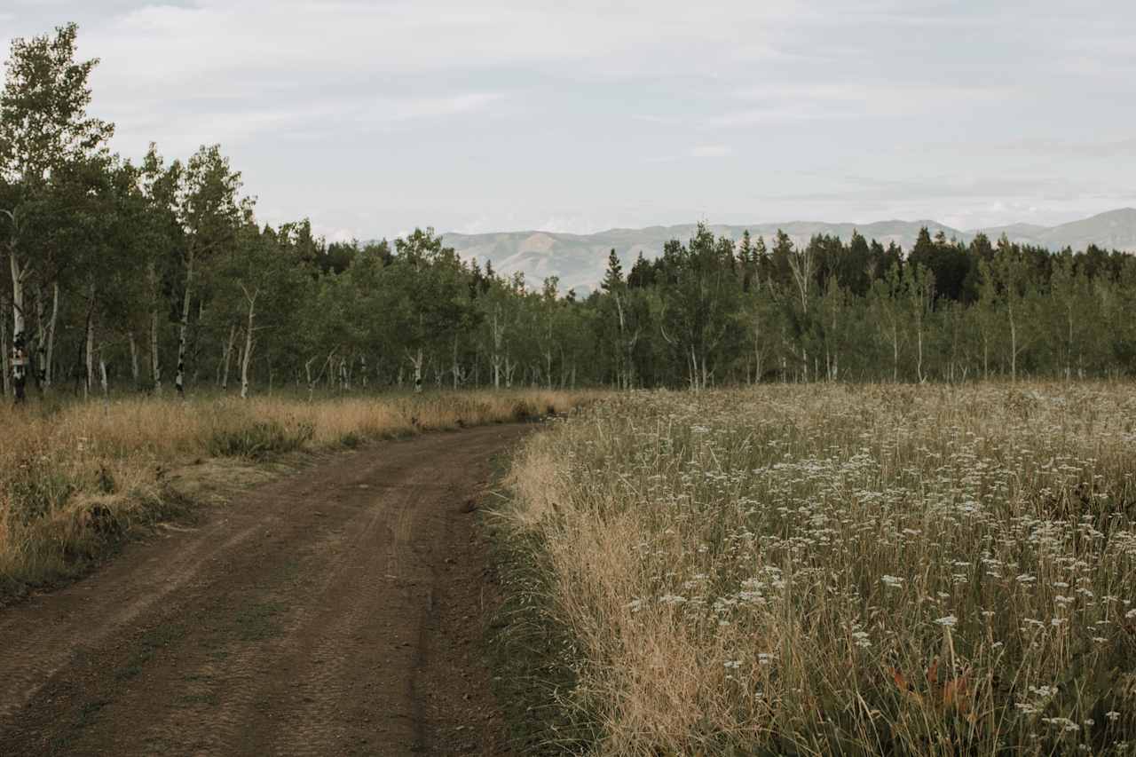 The path to the campsites.