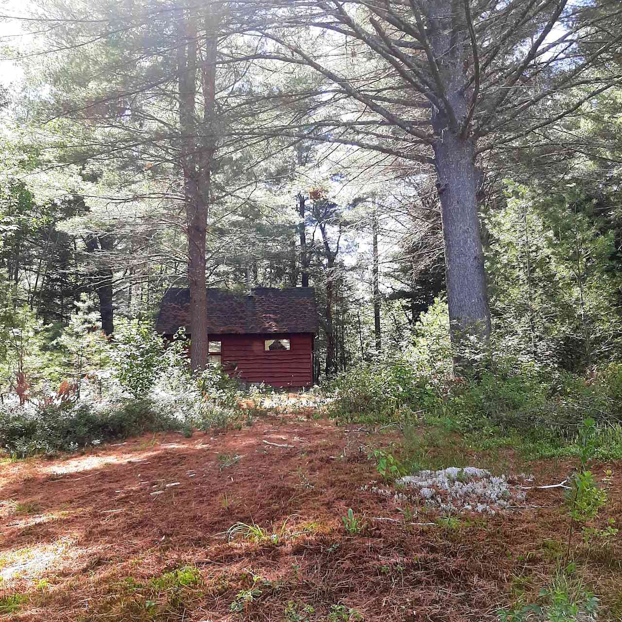 Lovely and quaint little cabin on the property.