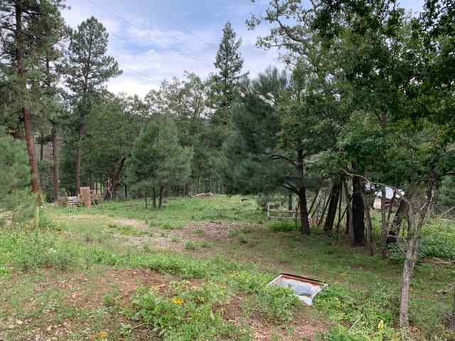 Site #1 RV parking or tent pitch. 