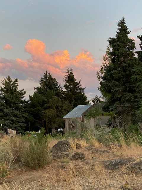 Mountain View Glamping Cabin