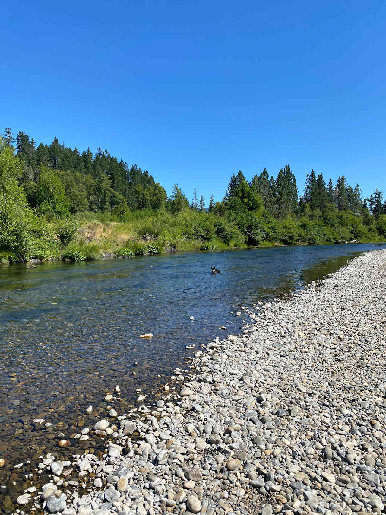 Wading in the river