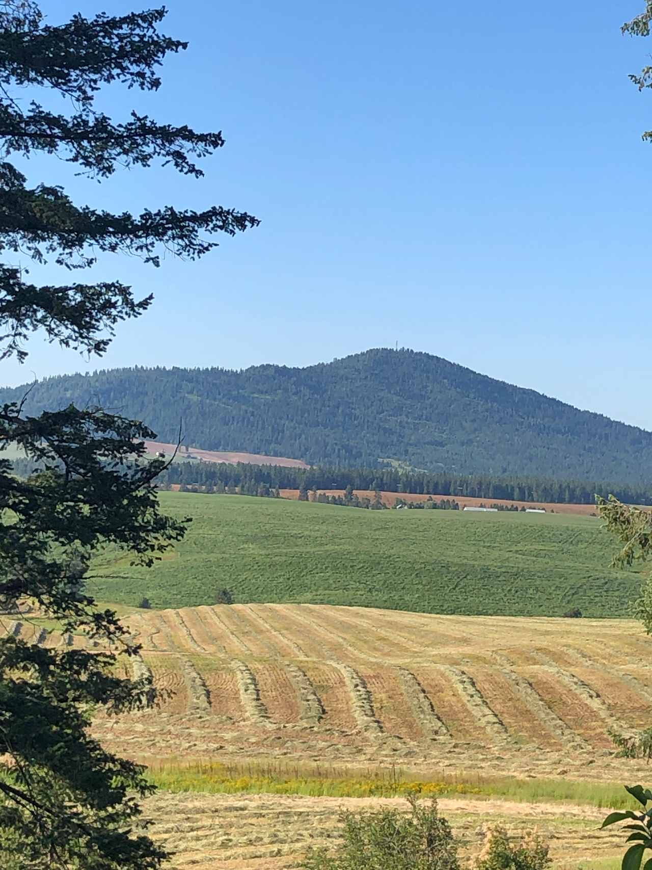 Rolling hayfields is the view across the road from our property tucked against the hill. 