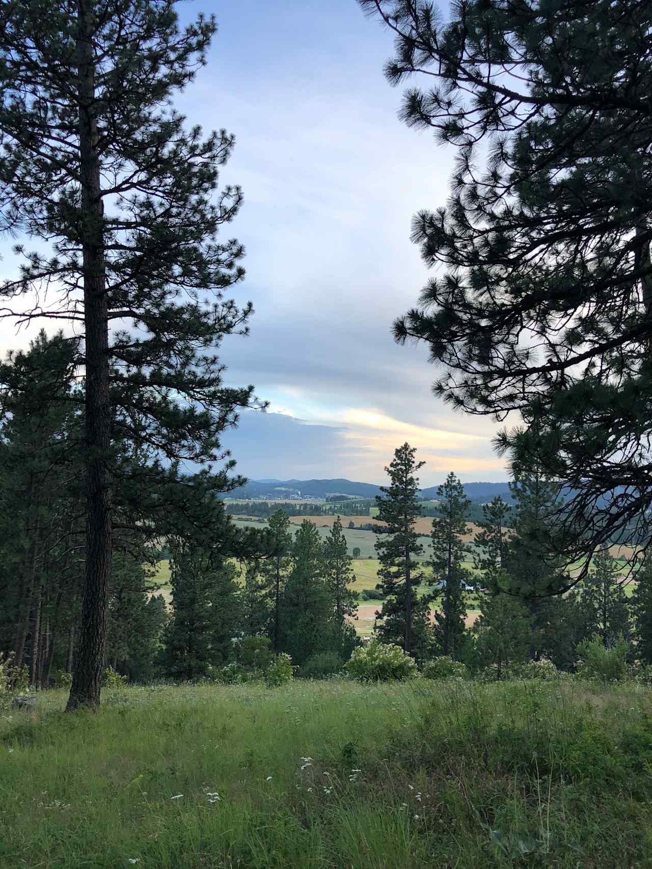 Sunsets looking South from the campsites 