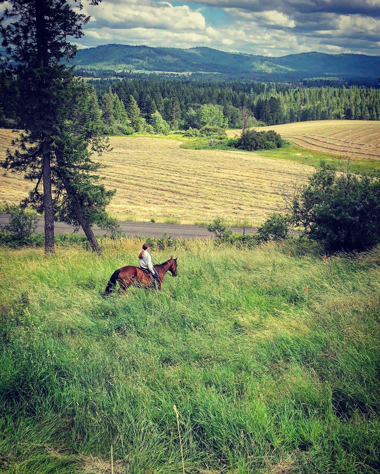 North Idaho R&R Ranch