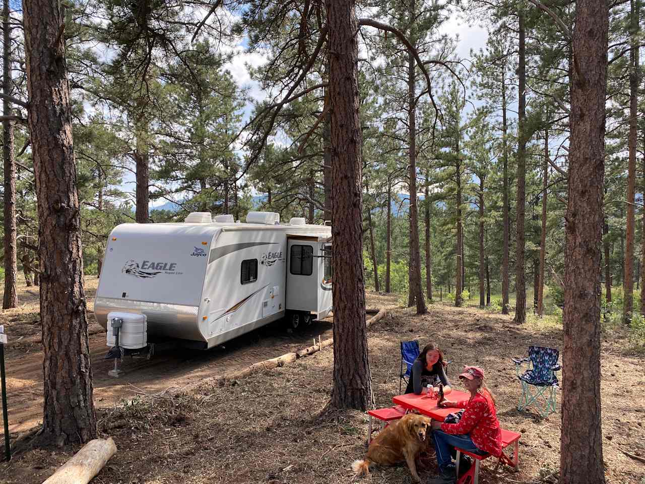 Campsite 1 is 50 feet in length. It is next to 30 acres of our fenced in wooded property. It backs to a spring-fed pond.