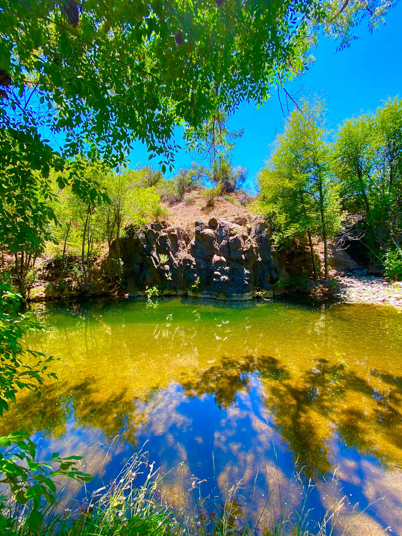 summer swimming holes abound.