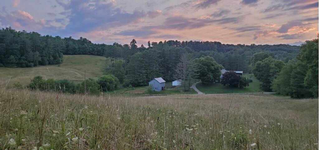 Private Forest Campsite