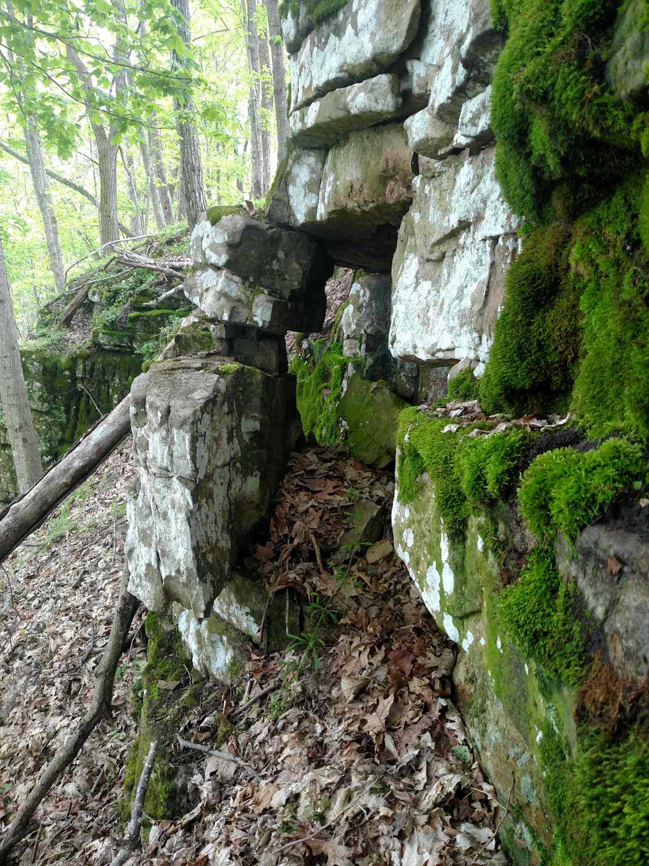 The Knobs is the name of our mountain and it features 3 major geological plates that collided. There is a diverse geology here from sandstone to lime and shale.