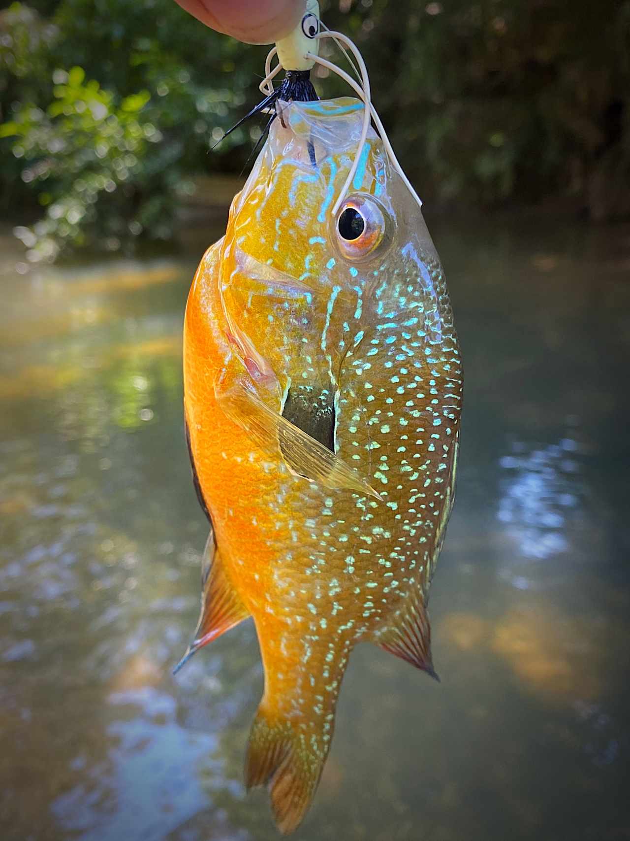 Loved fly fishing!