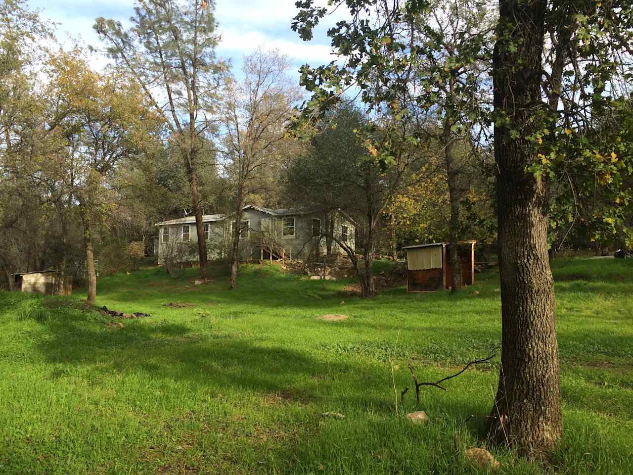 Secluded High Creek Side Cabin-Deck