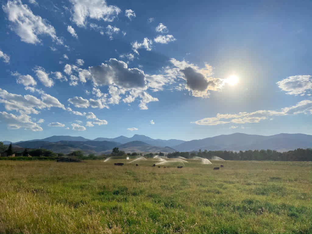 Your view from the Hayshed Campsite.  A stunning July afternoon.