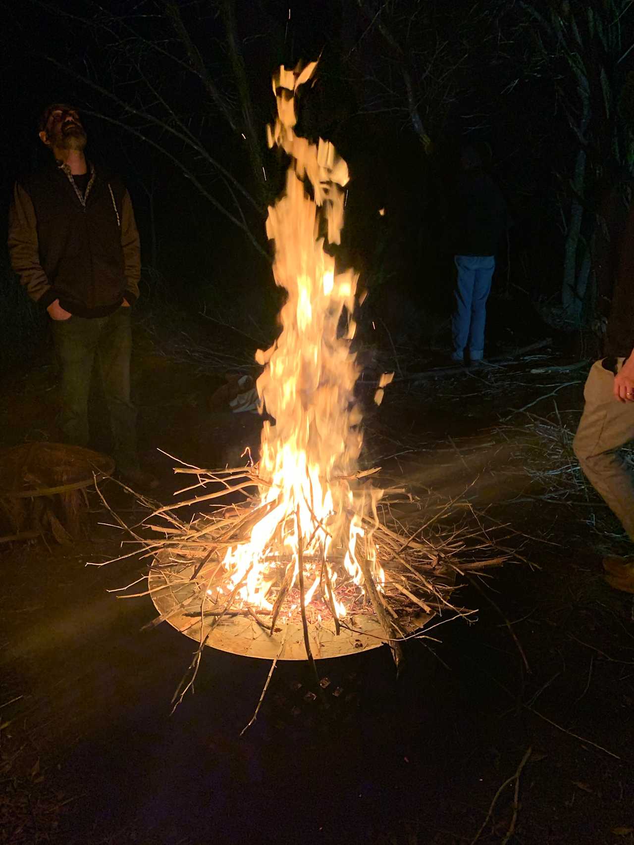 Fire! There's never a burn ban out here in the pits. Plenty of free dead firewood around the property. 