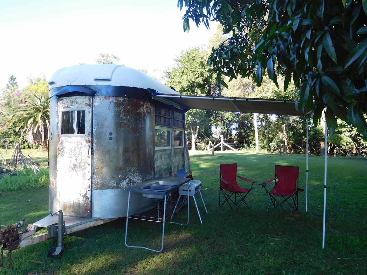 Glamper under Mango Tree