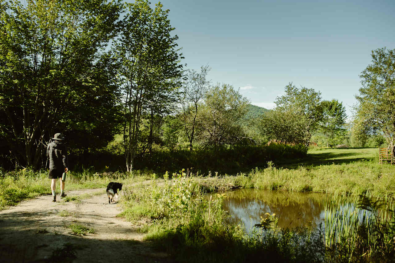 Beautiful pond.