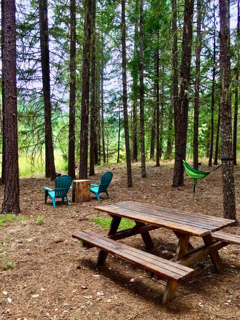 Turtle Pond site. Find some relaxation while viewing the Pond and watching the ducklings, goslings, turtles. You'll hear the frogs eep as you walk along. (chairs, hammock, and picnic table).