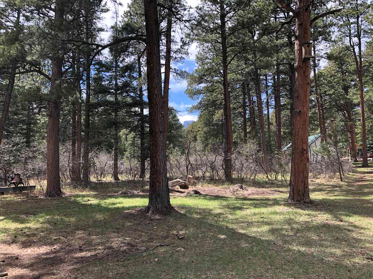 View of Greenhorn summit from the property