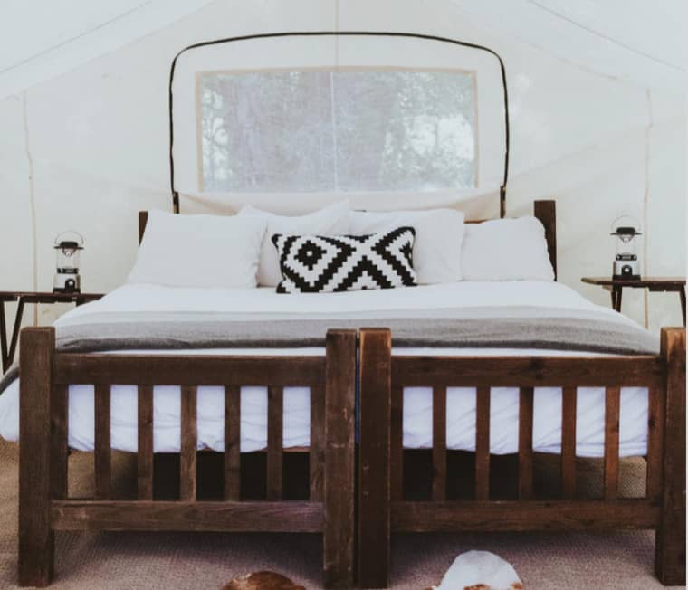 Interior of guest safari tent