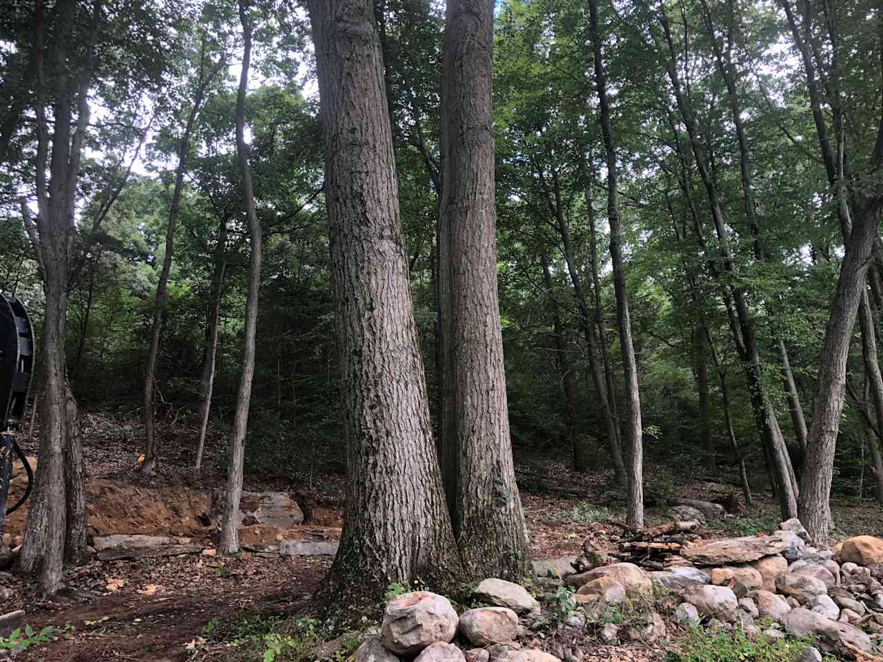 Twin Oaks - Approaching the site from the parking area.