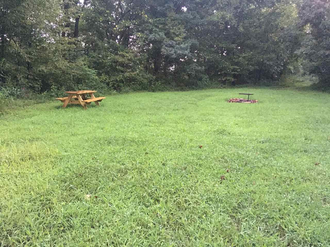Our main site that would manage a couple of vehicles, tents  and/or campers.  This site is the hub where our trail splits and takes hikers through our woods or down to the creek, could be traffic as other campers/hikers pass by.  Awesome fire pit!