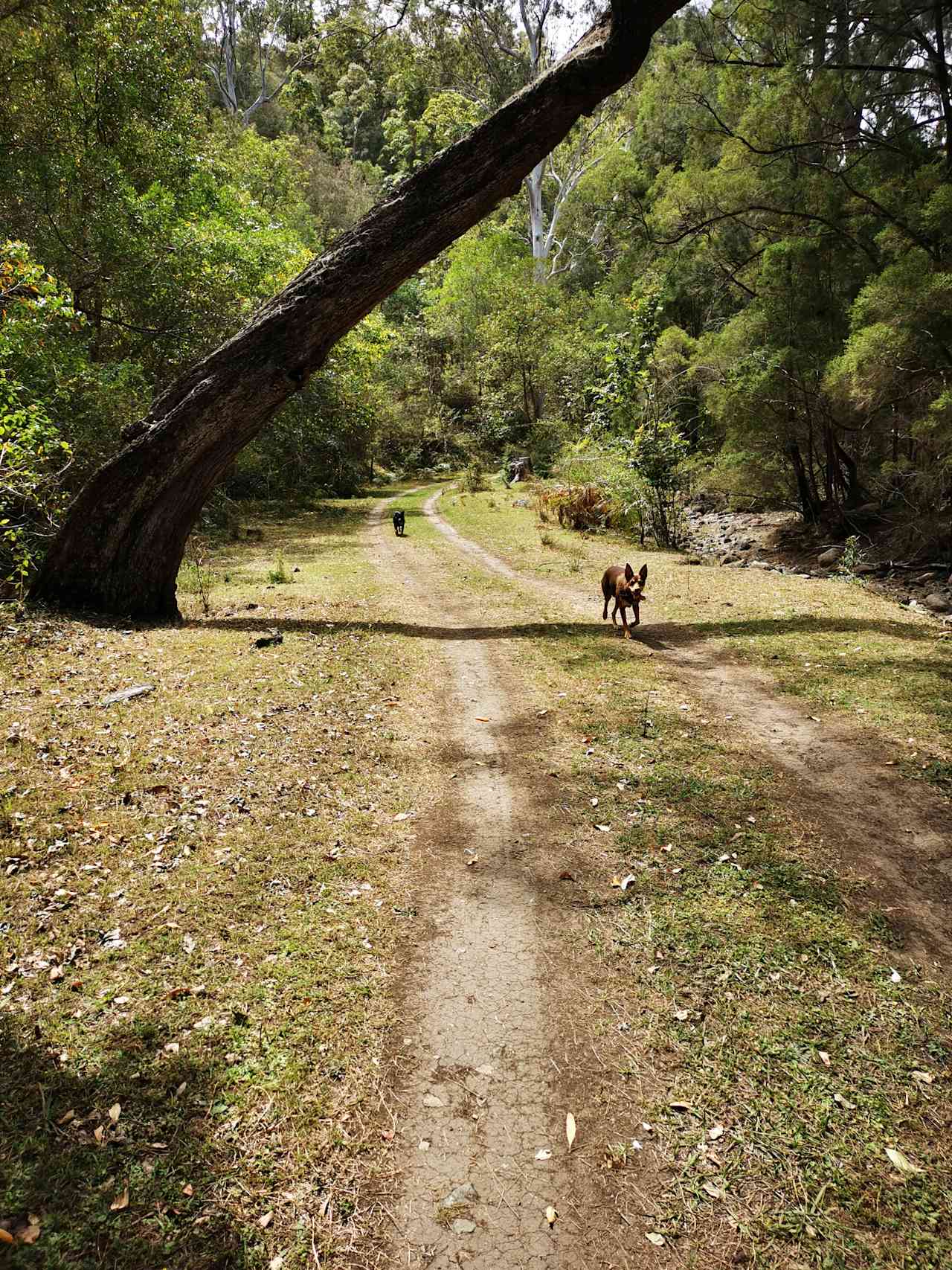 Hope Valley