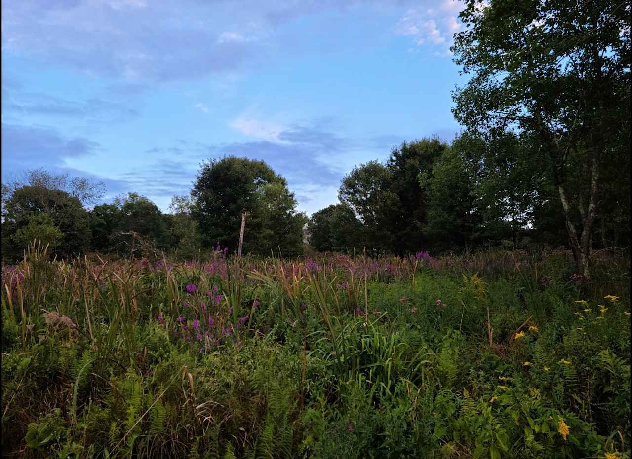 Campsites at Stonewall