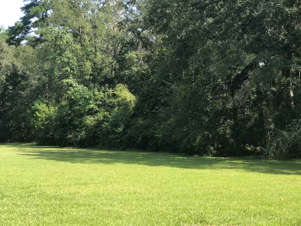 Grassy pasture provides multiple locations to boondock.