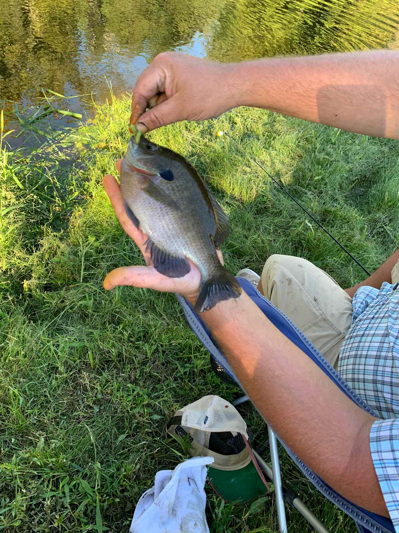 ...and this was a small blue Gill compared to what we were catching!!!