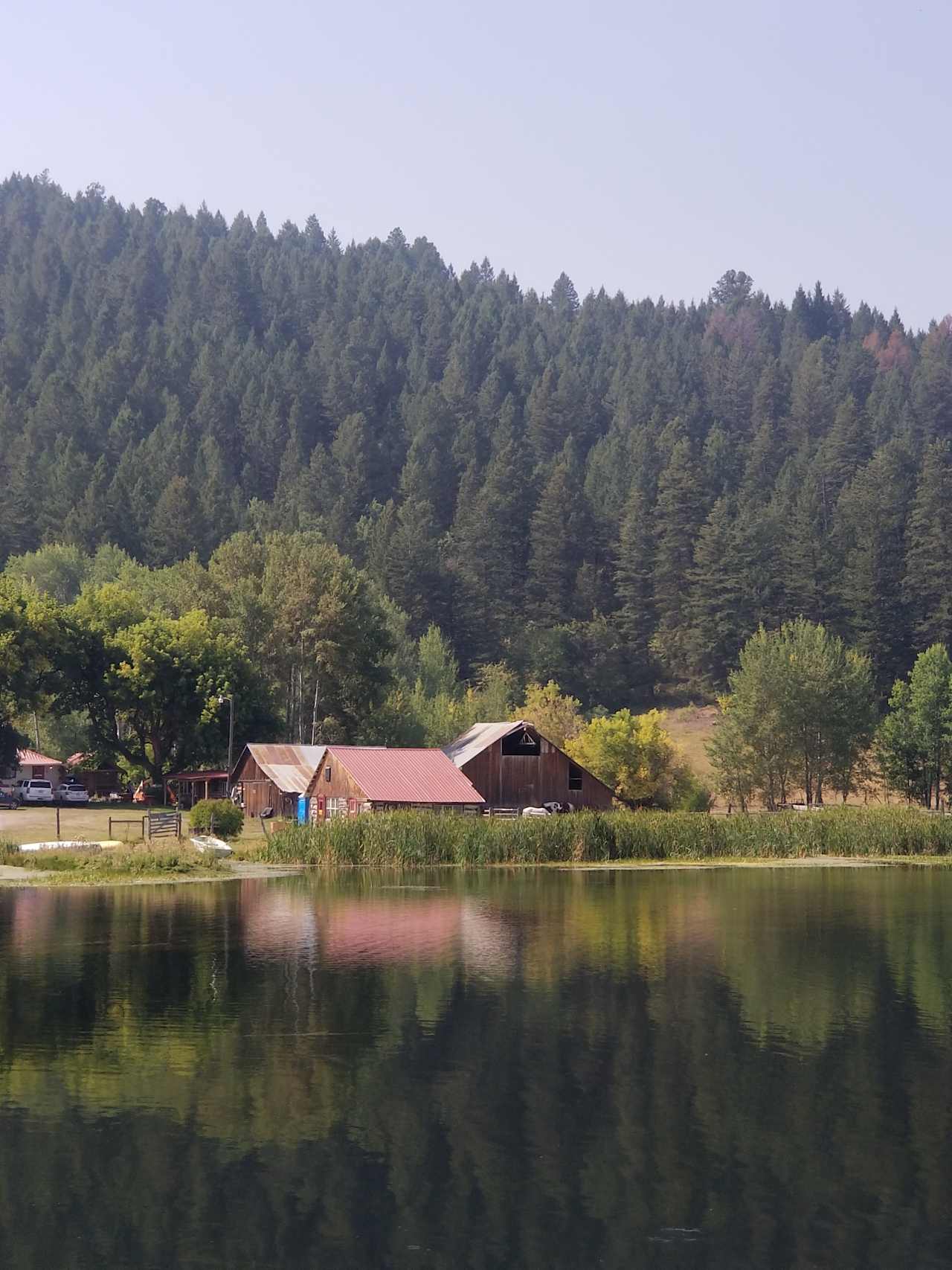 Pond on the ranch