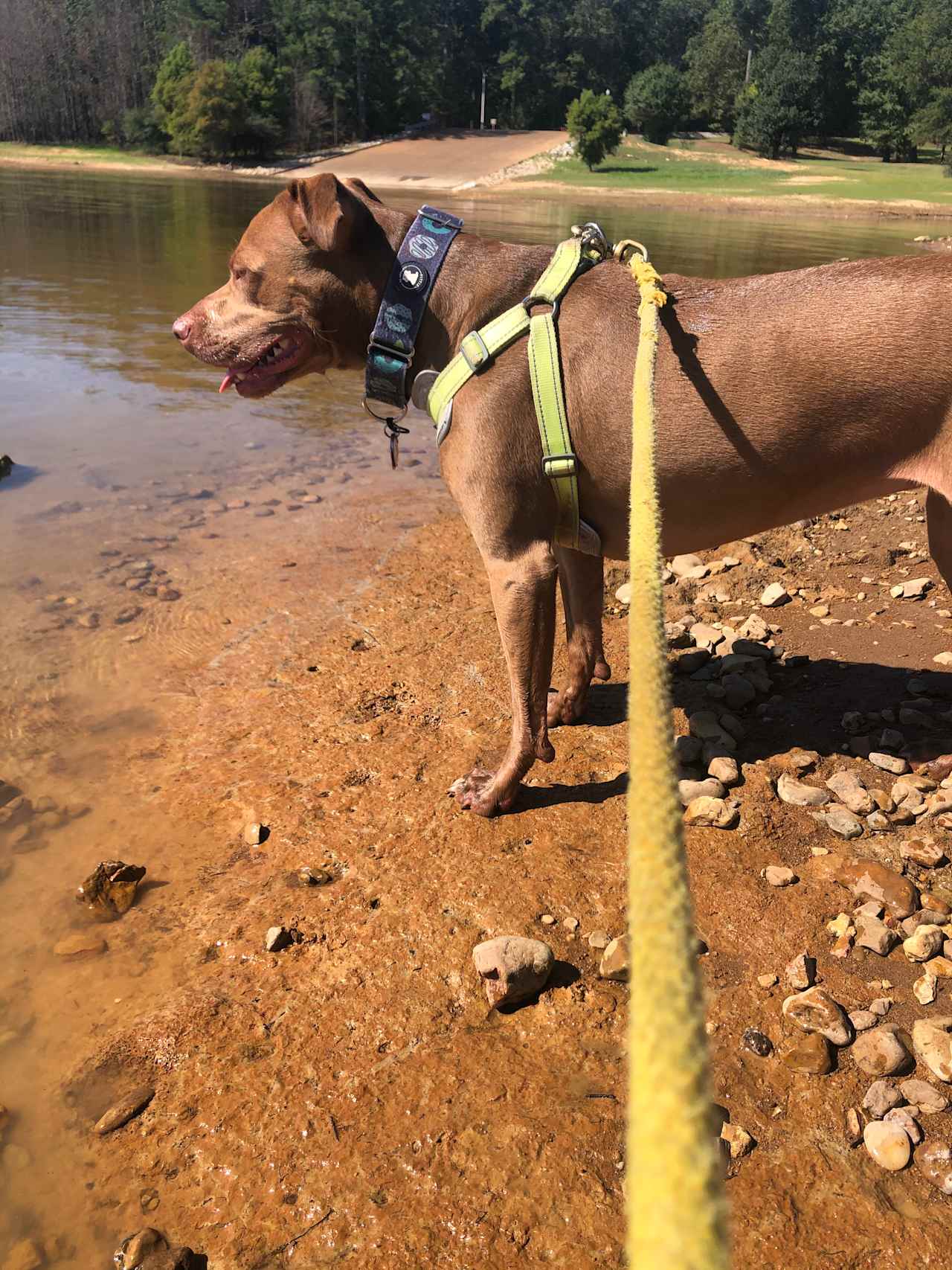 Enid Lake