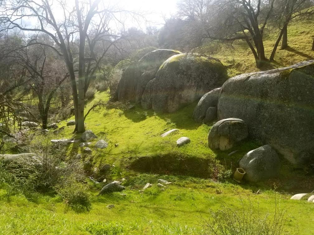 On the Native Trail during the spring, the walk is beautiful. 