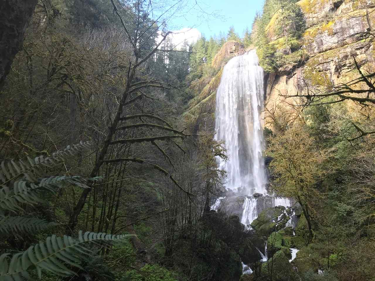 Below the Falls Lodge