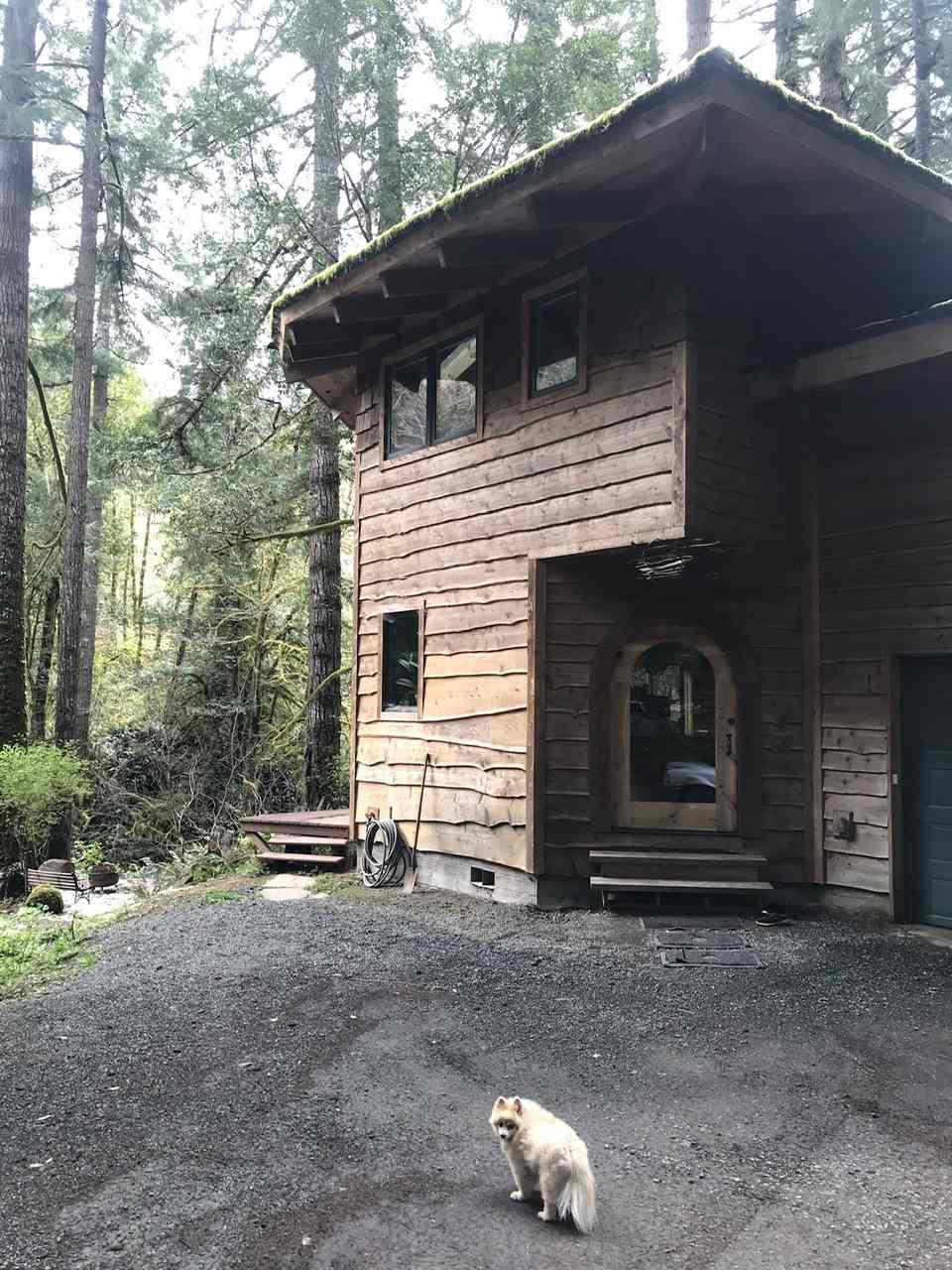 Below the Falls Lodge