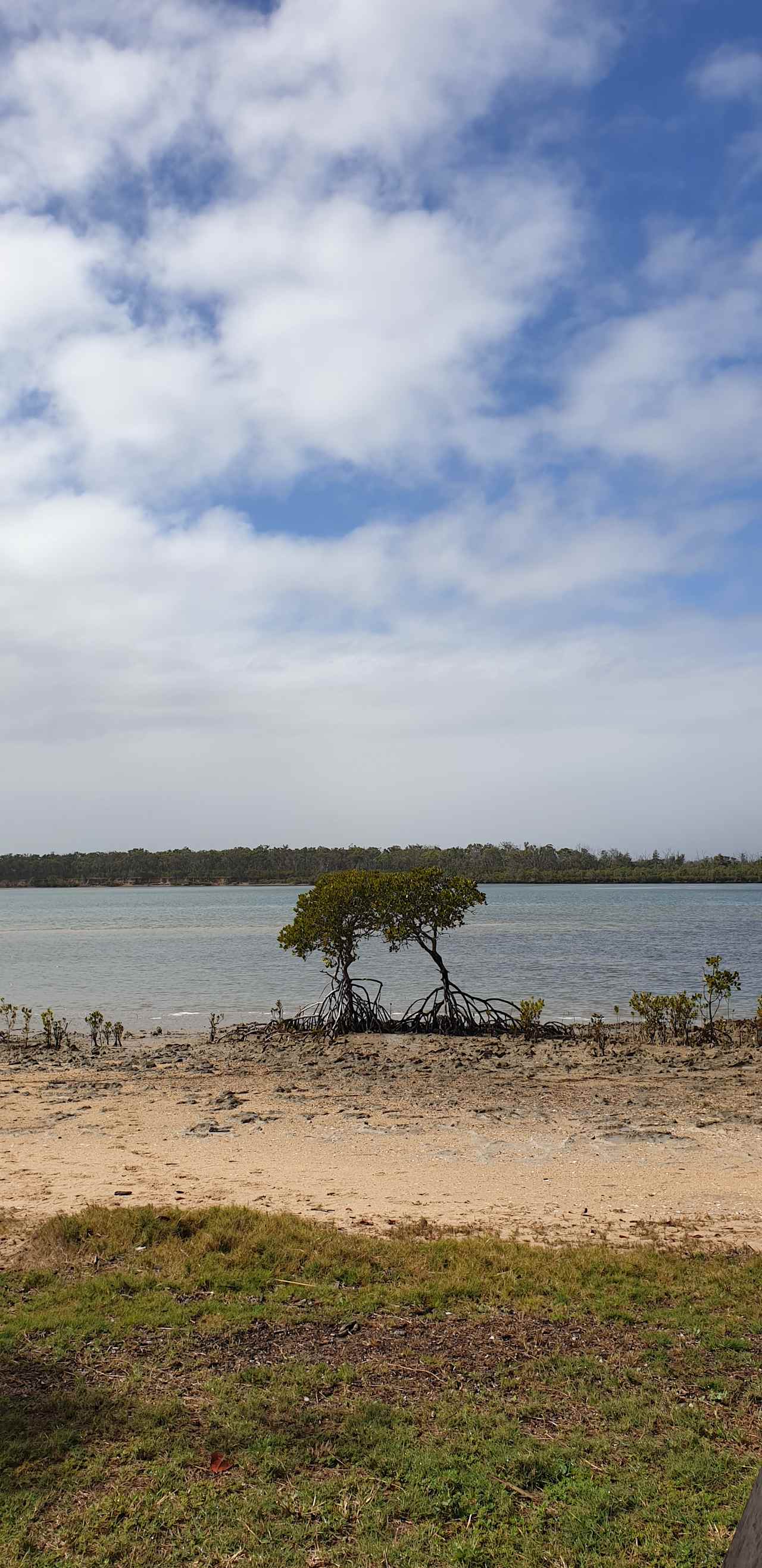 Buxton Bush Camp