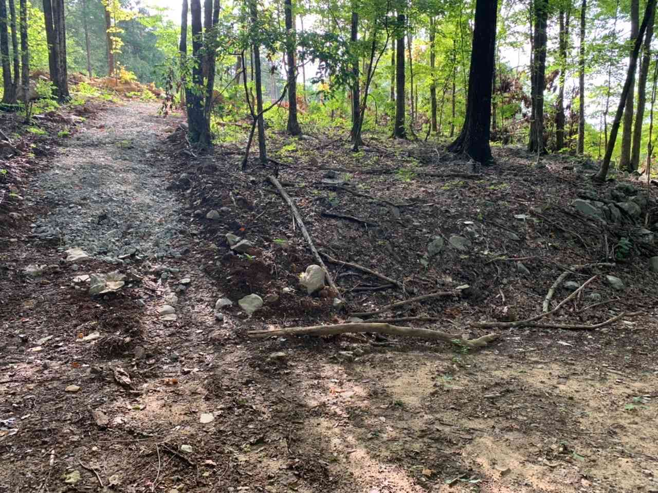 A look back up the walking trail toward the graveled area.