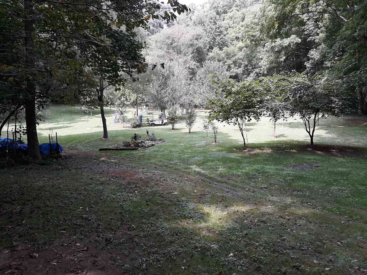 Would be campsites but would require a four wheel just down a steep gravel driveway.  This is attached to 3.2 acre house lot.