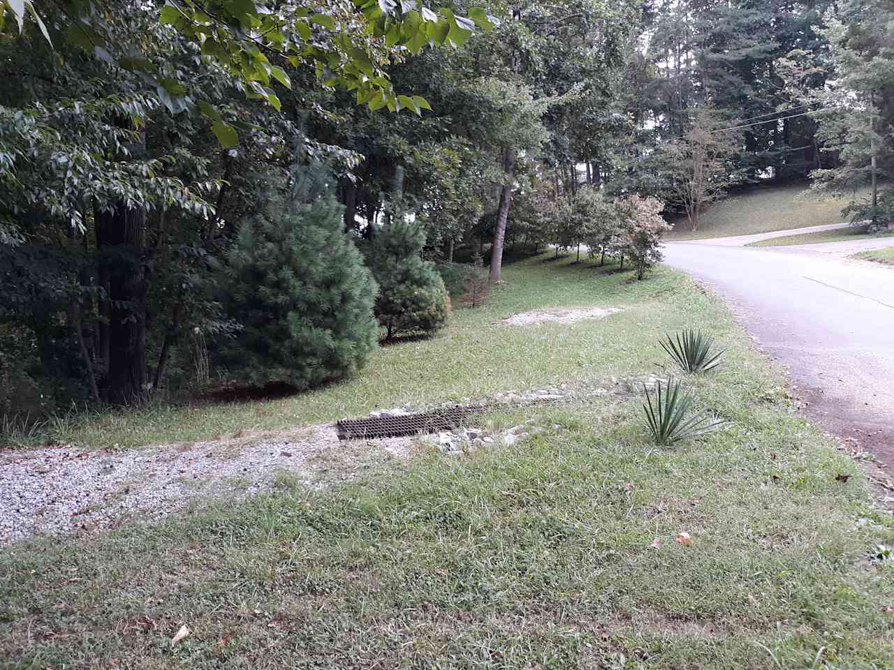 Looking back from previous picture at site on Forest Hills Dr.