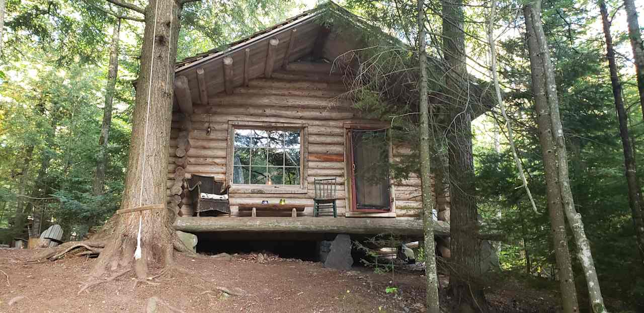 Bear Tree Homestead