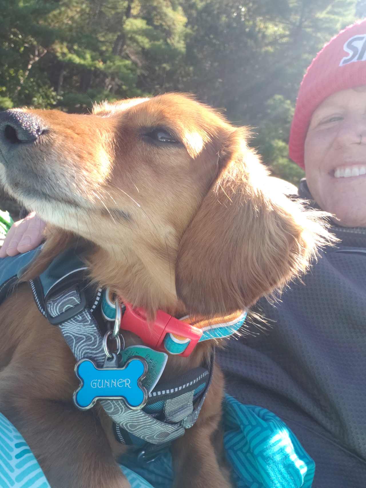 One of our pups enjoying the boat ride!