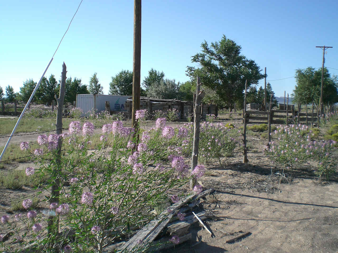 Historic J.H.Johnston Ranch