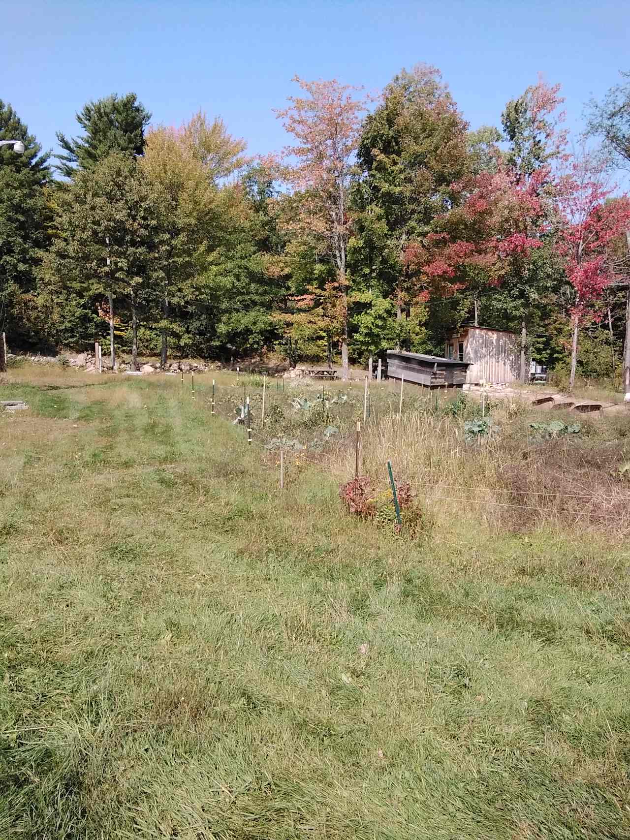 Green Street Family Farm secluded in the Adirondack park