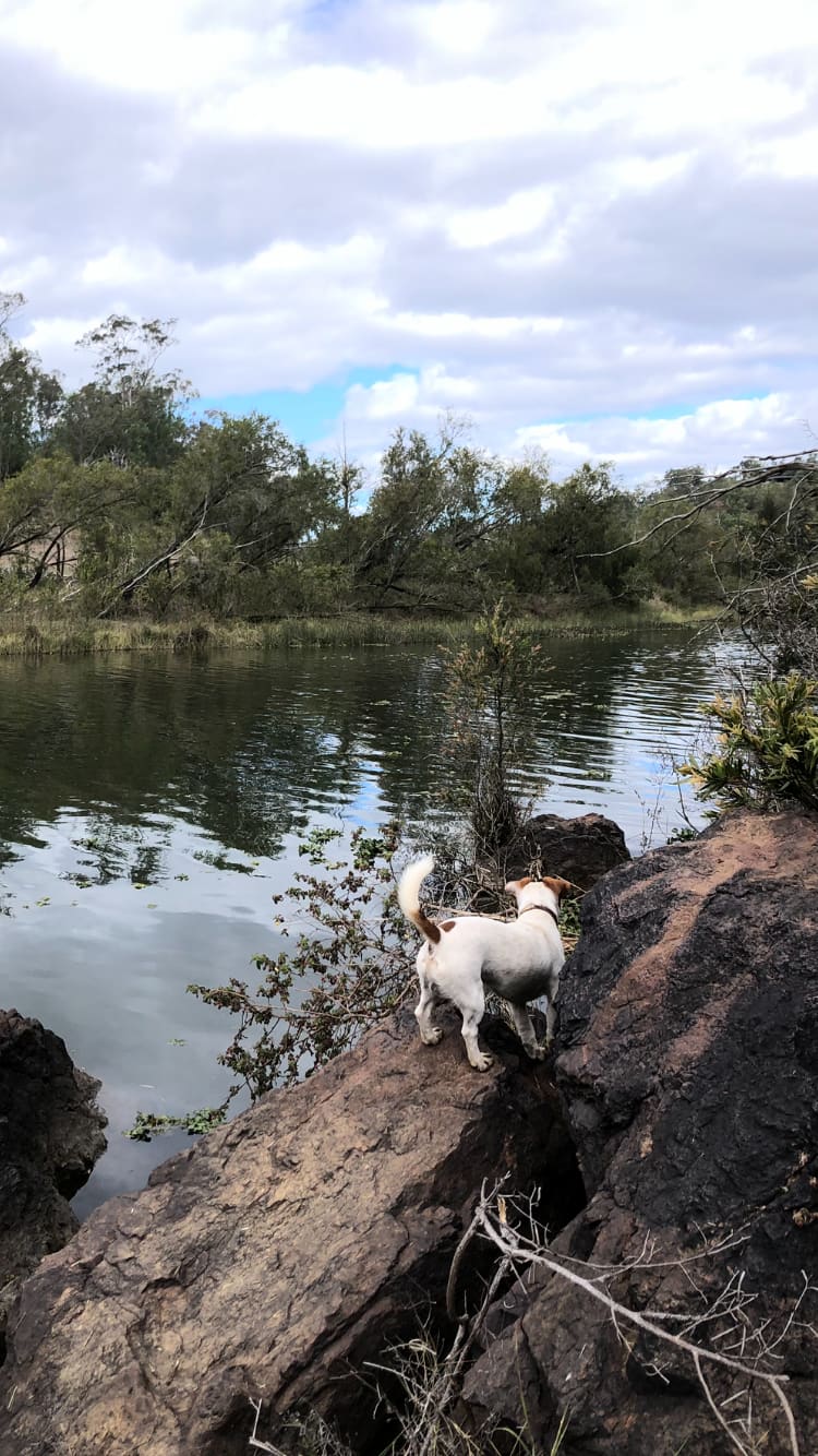 Weefarm Brisbane River Camping