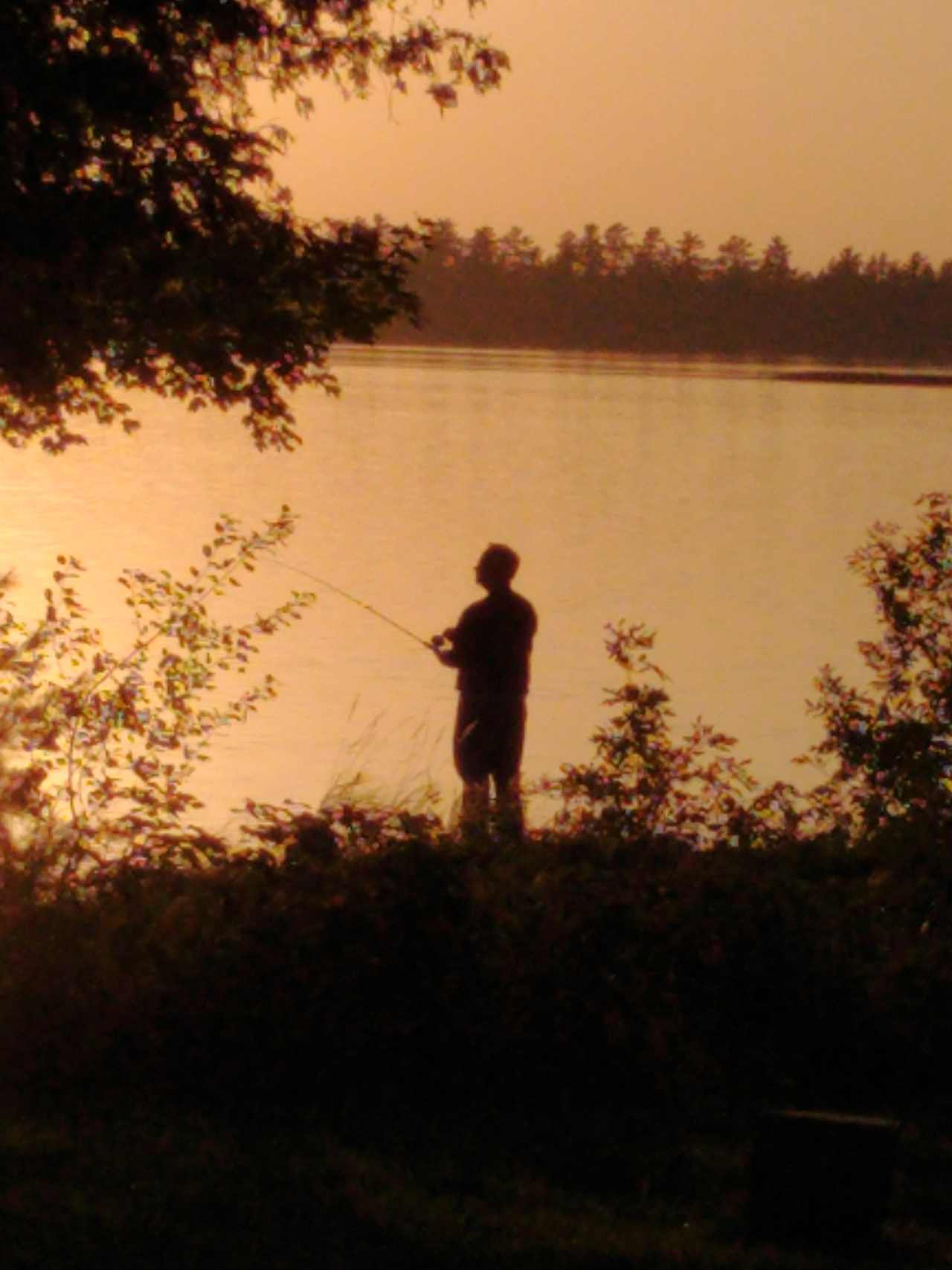 Cabin/Campers on Lake