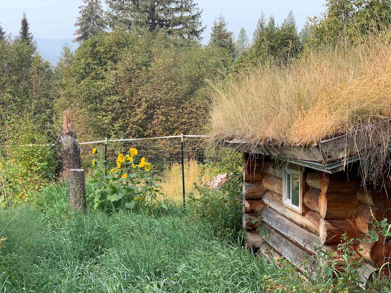 A lovely garden with a sacred space