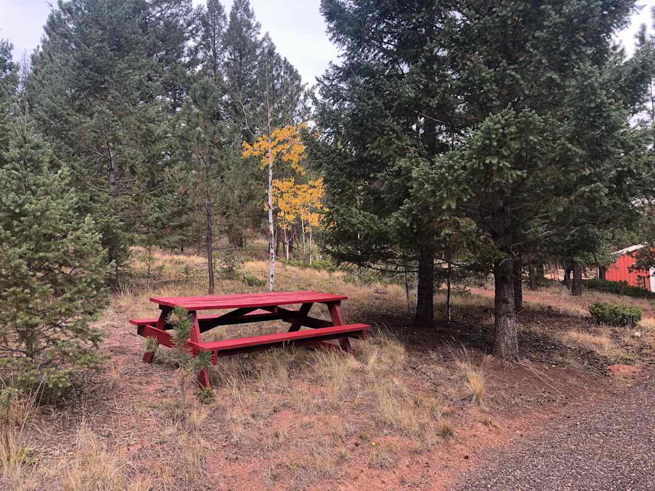 Picnic table at campsite.