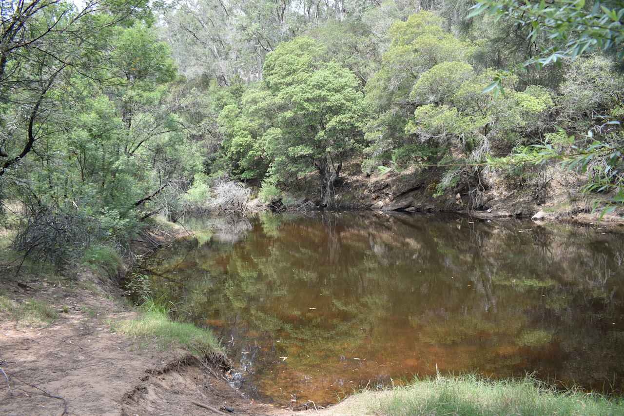 Wollombi Brook