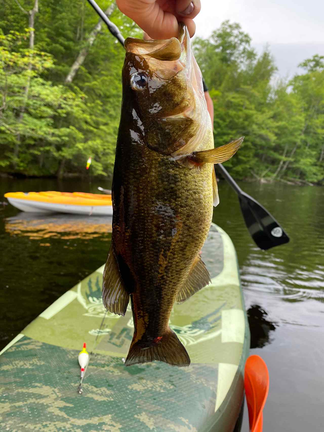 Kayaking and fish right out front 