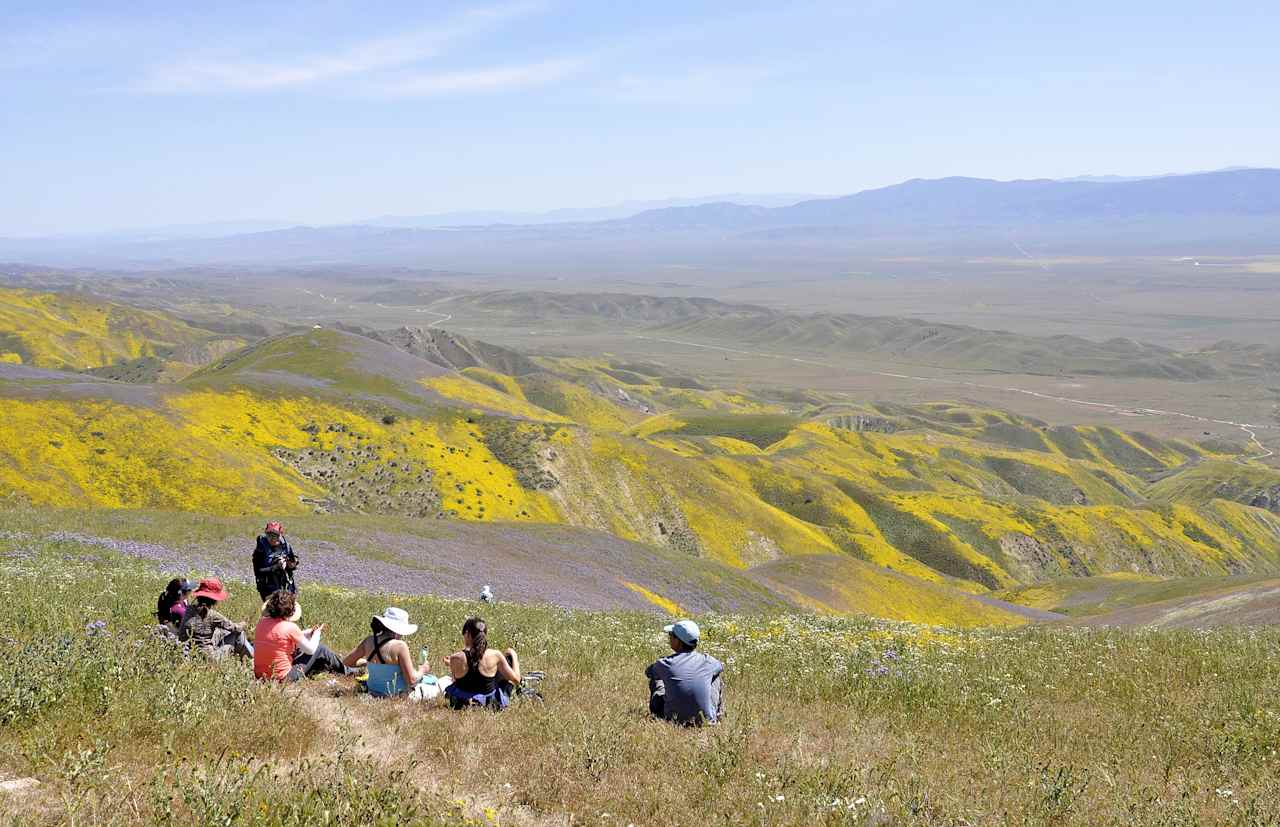 Carrizo National