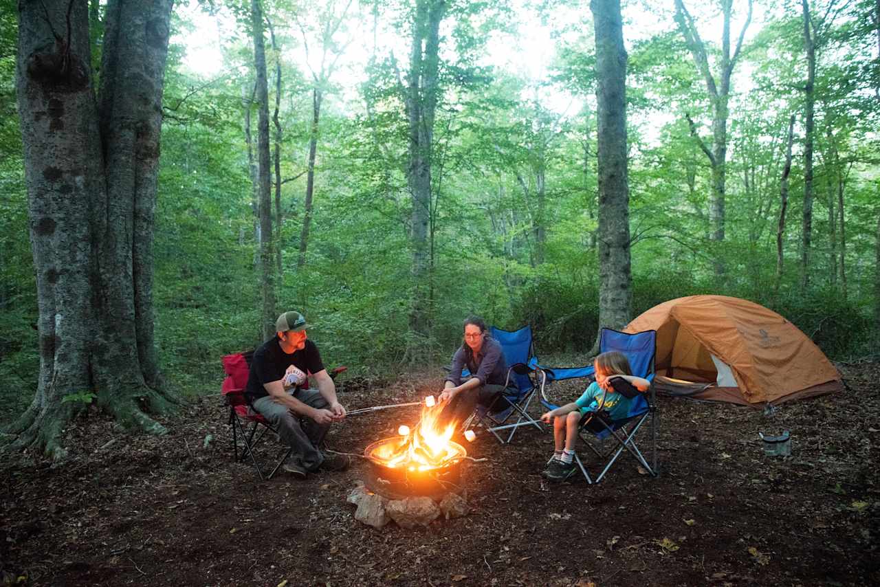 Such a beautiful spot, a clearing on a knoll in the middle of the woods!