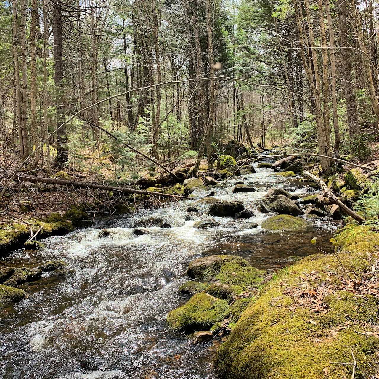 Private Brook at the campsite